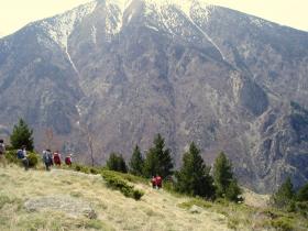 photo coins arrondis